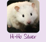 Hi-Ho Silver