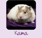 Kama