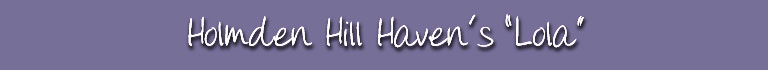 Holmden Hill Haven's "Lola"