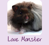 Love Monster