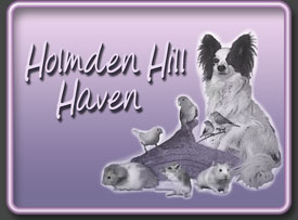 Holmden Hill Haven